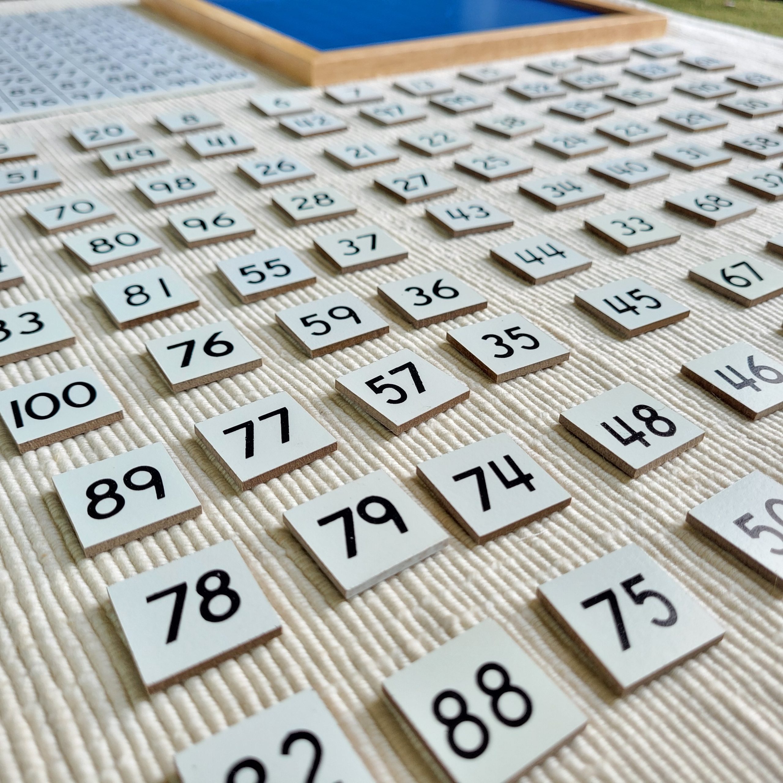 Montessori Hundred Board