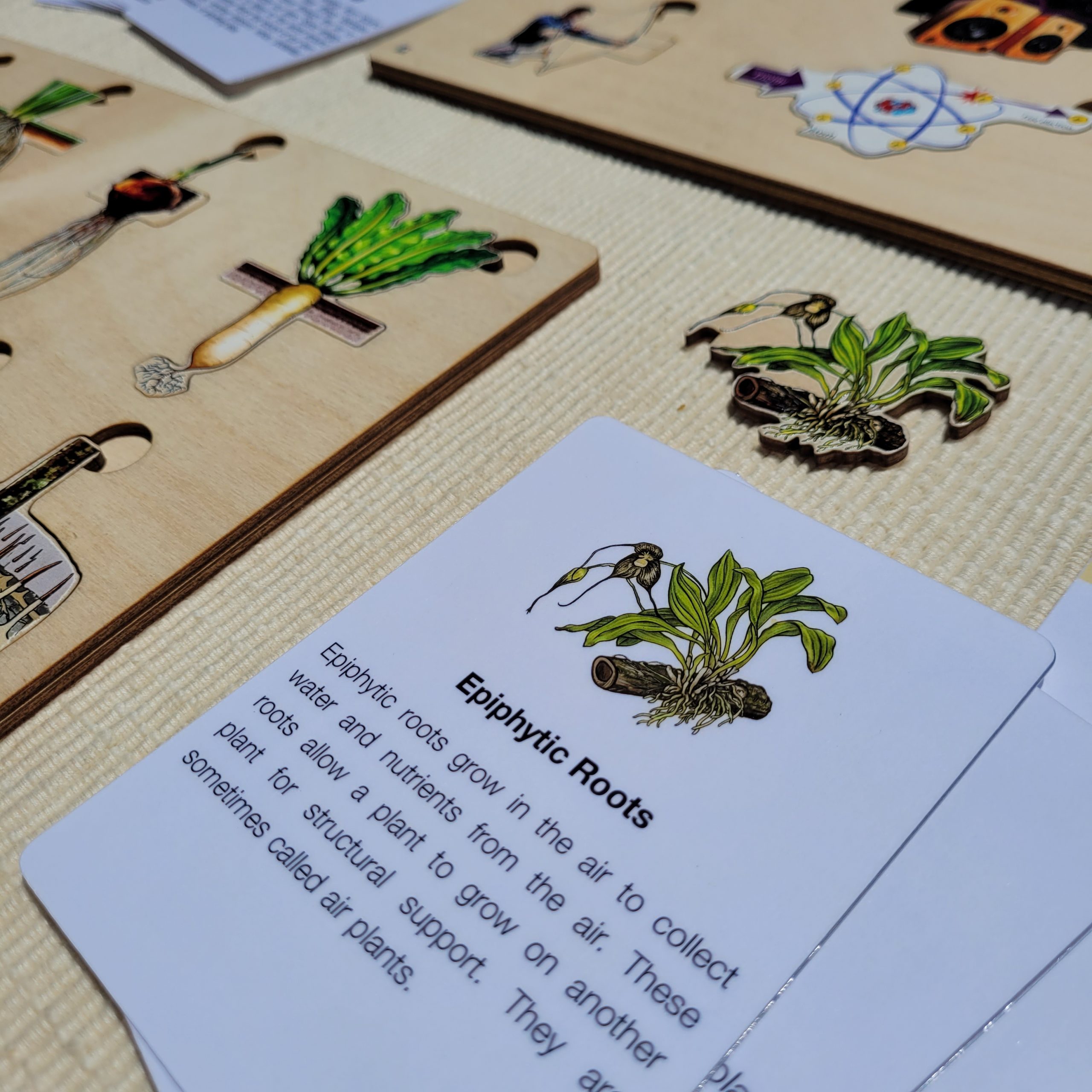 Montessori Puzzles