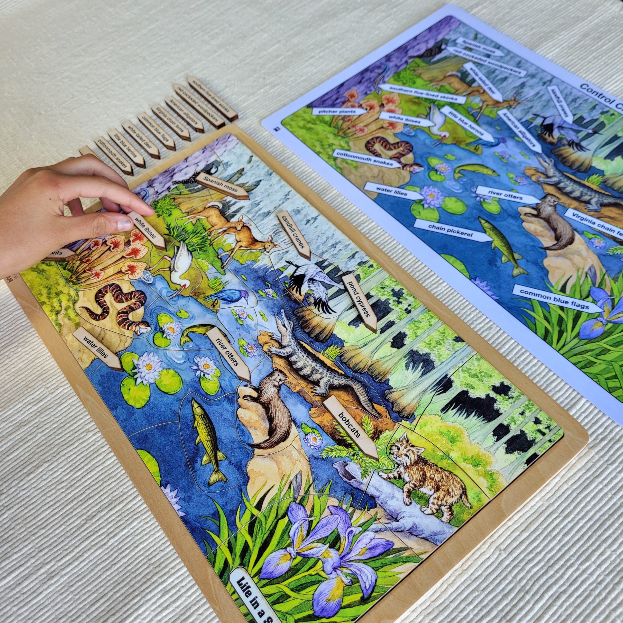 Montessori Puzzles
