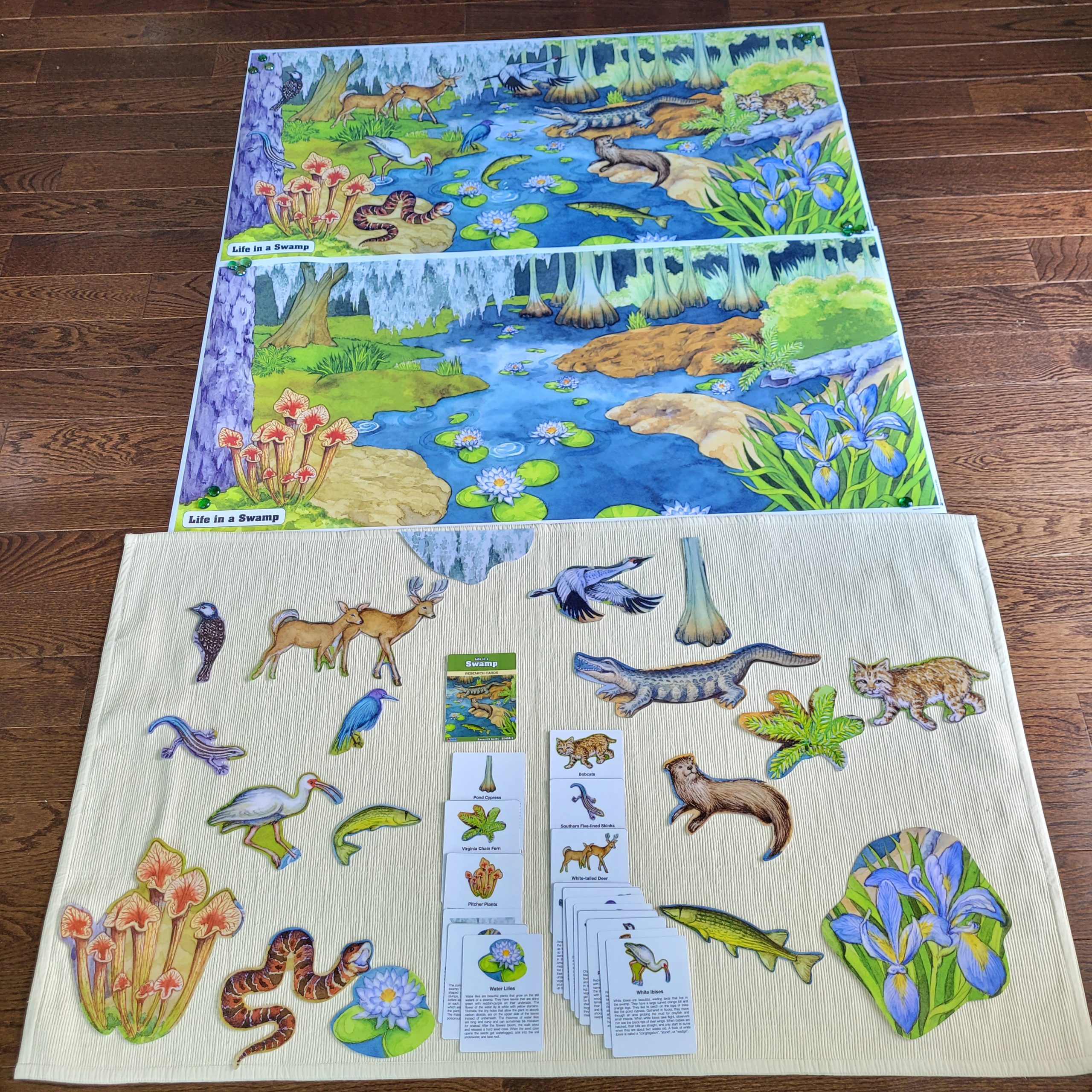 Alison's Montessori