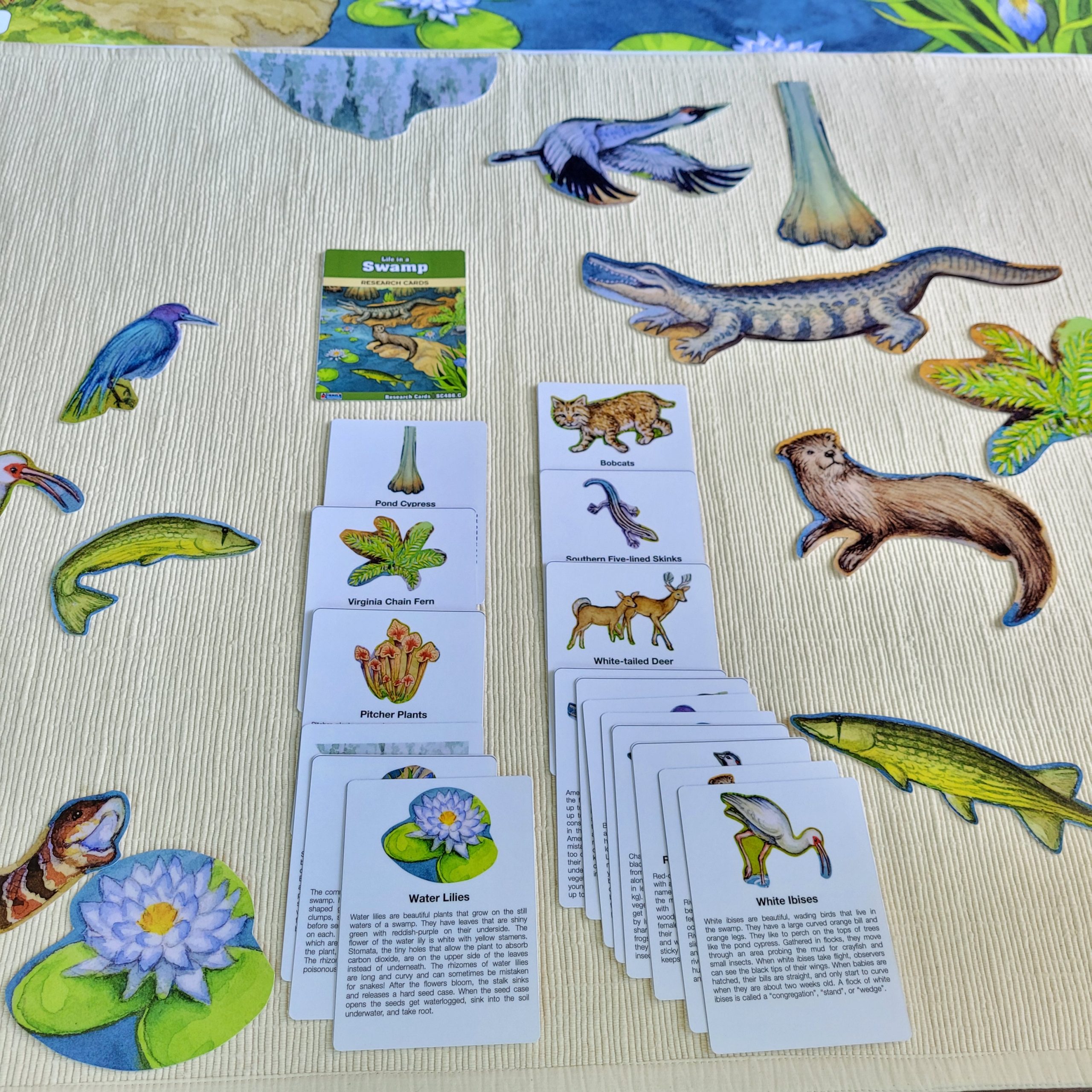 Alison's Montessori