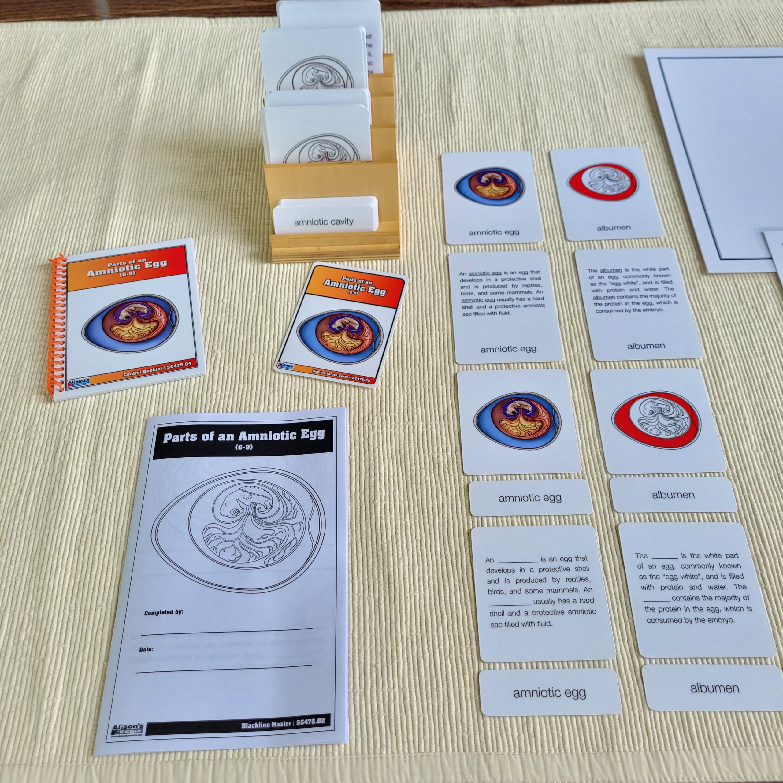 Montessori Three-Part Cards 