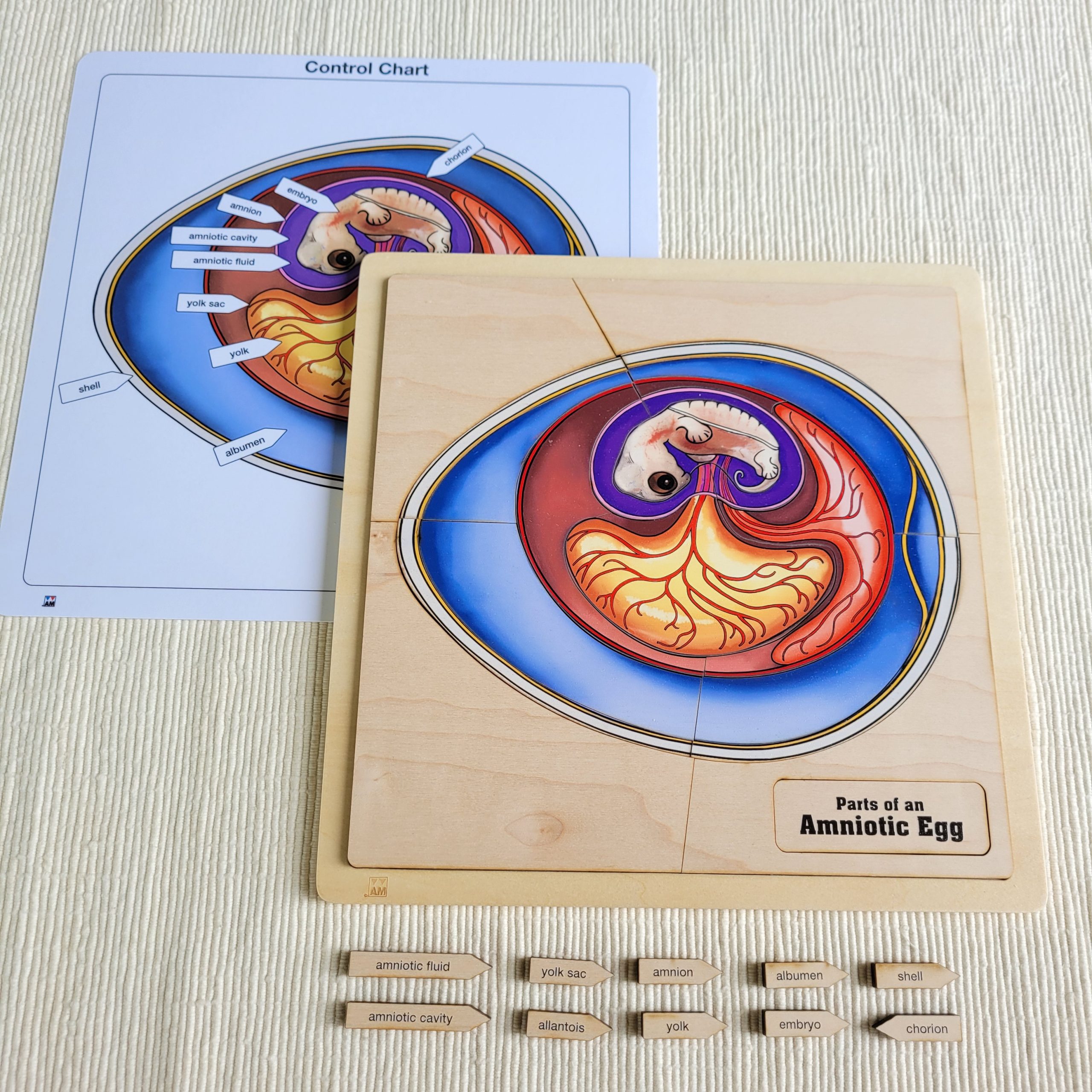 Montessori Puzzles