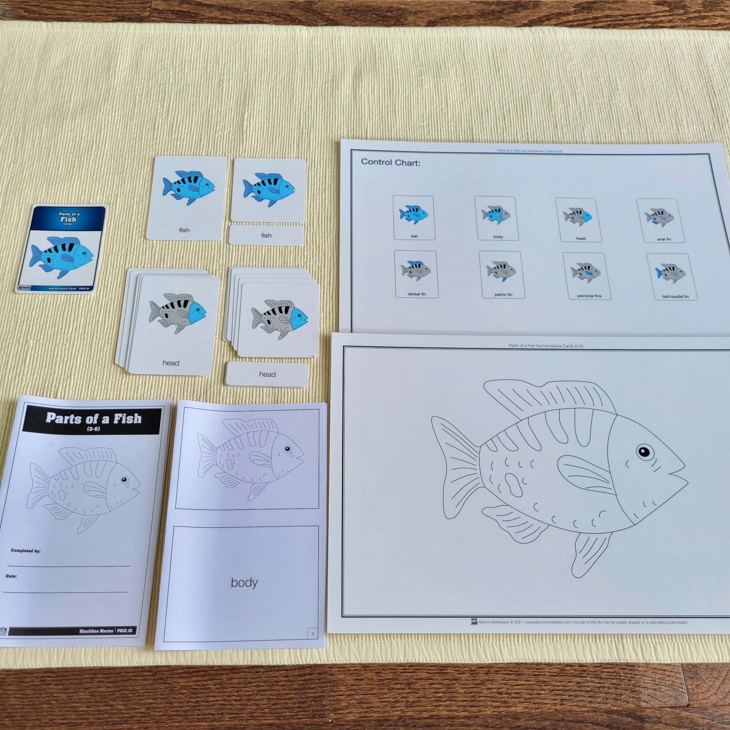 Montessori Three-Part Cards 