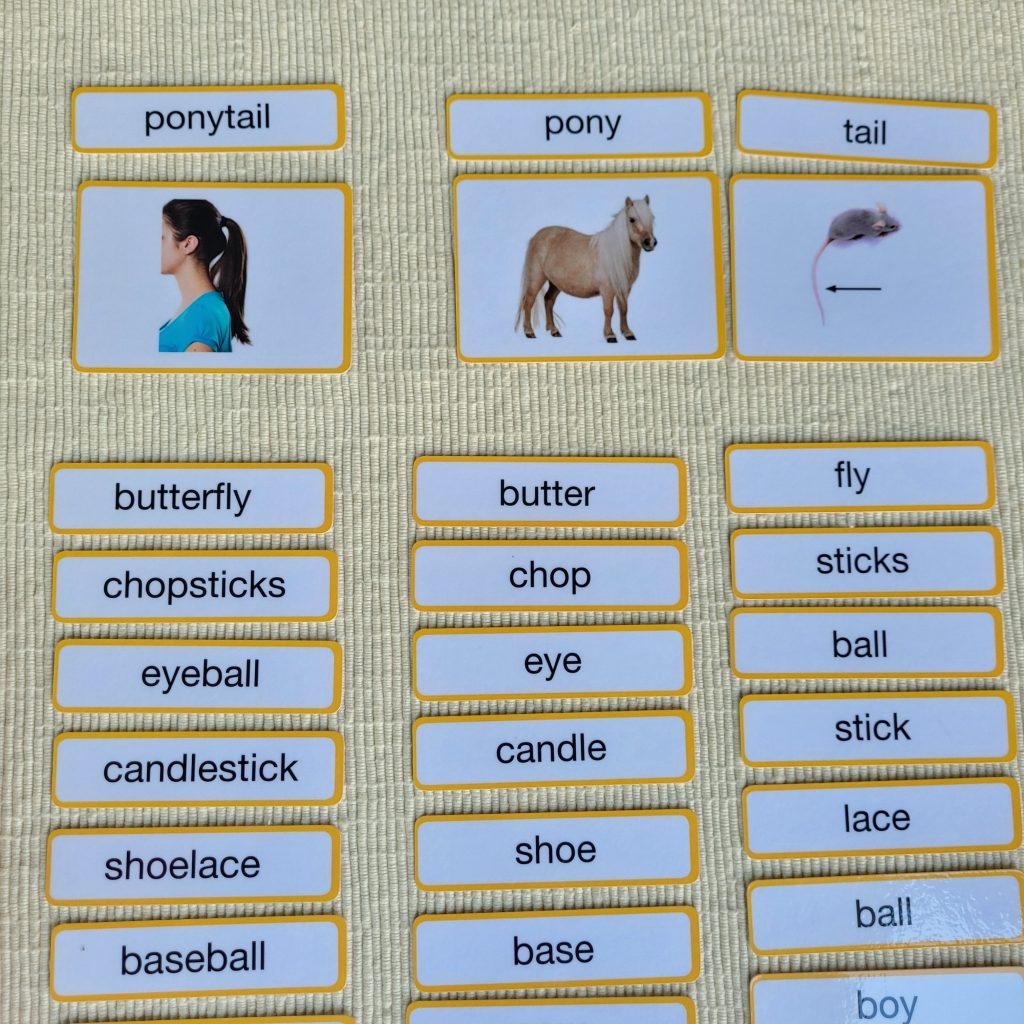 Montessori Word Study