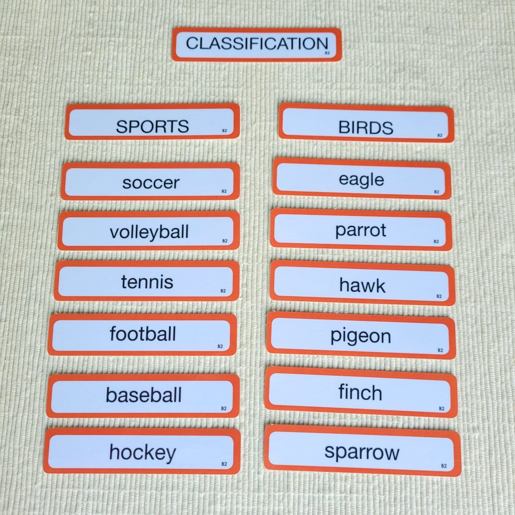 Montessori Word Study
