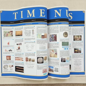 Timeline of Numbers