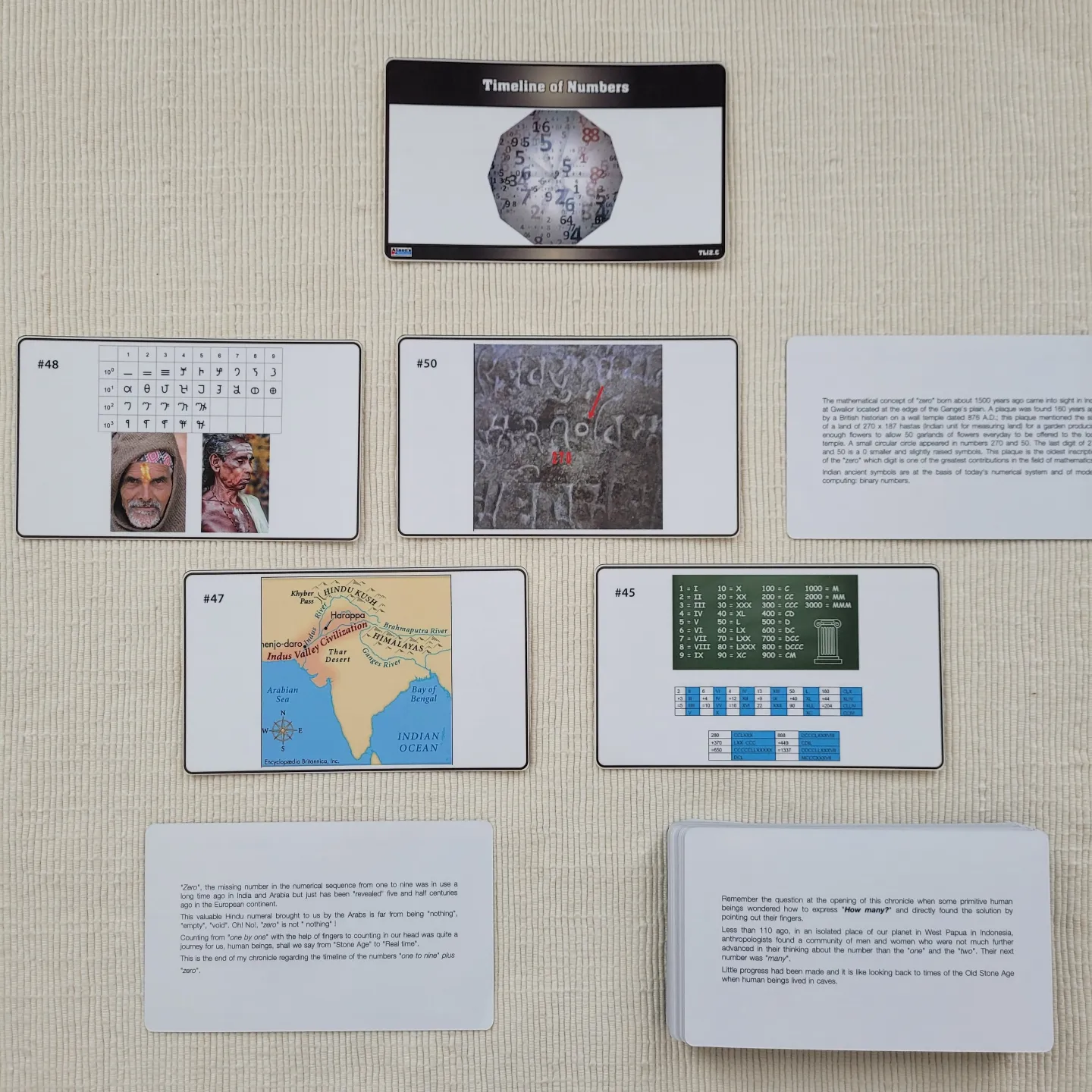 Montessori Timelines
