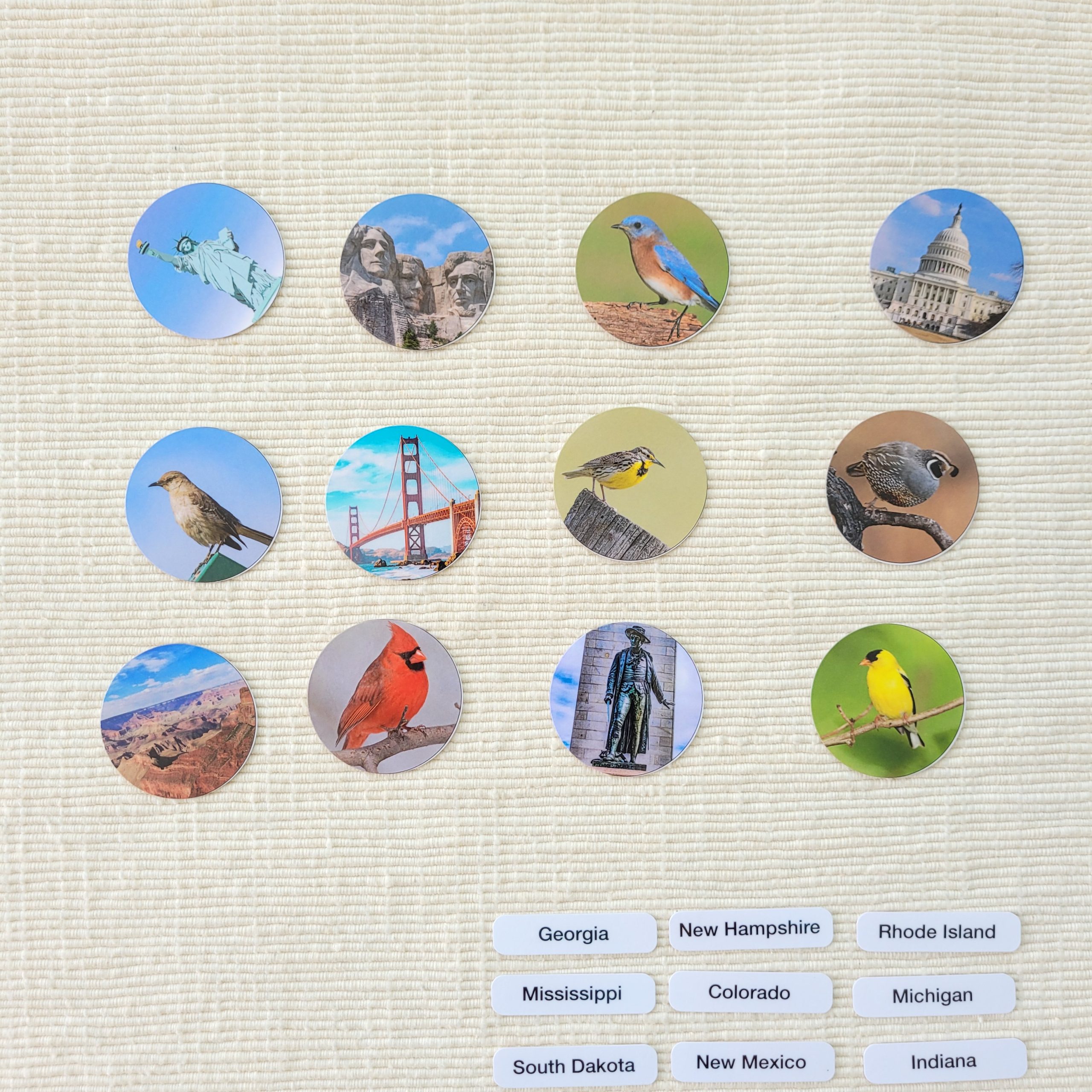 USA State Study - Mute Chart, Cutouts