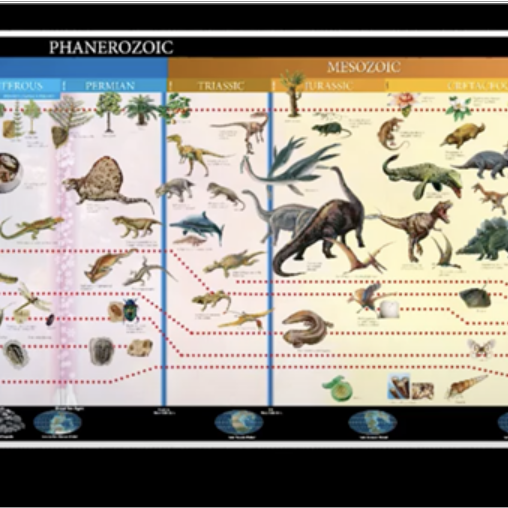 Five Great Stories