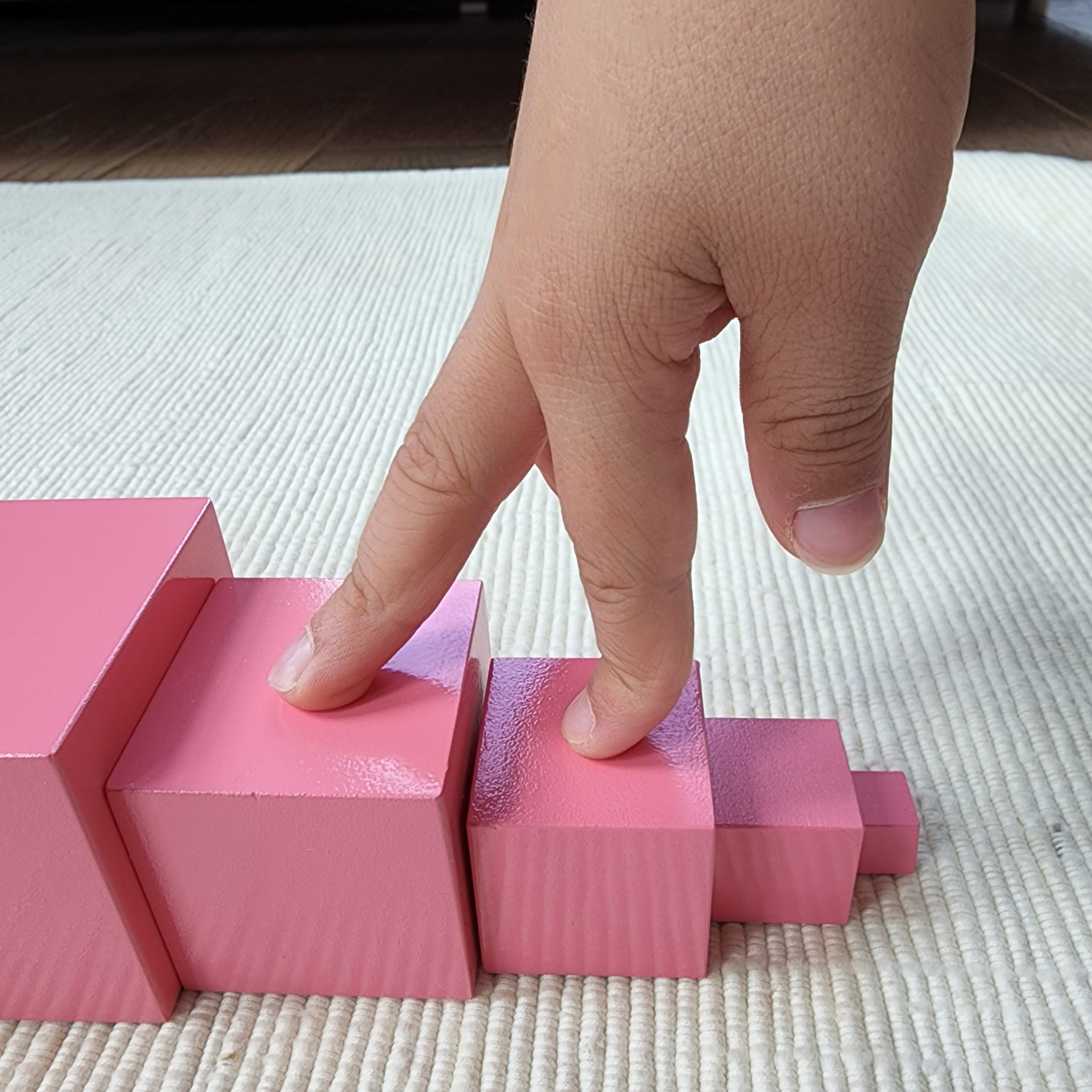 The Pink Tower & Extensions