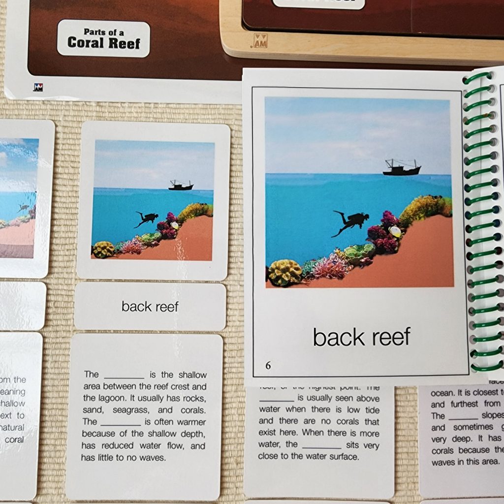 Parts of a Coral Reef
