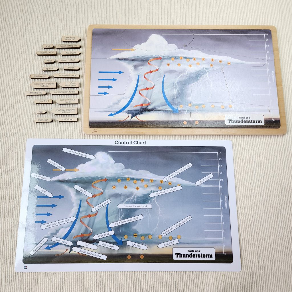 Parts of a Thunderstorm