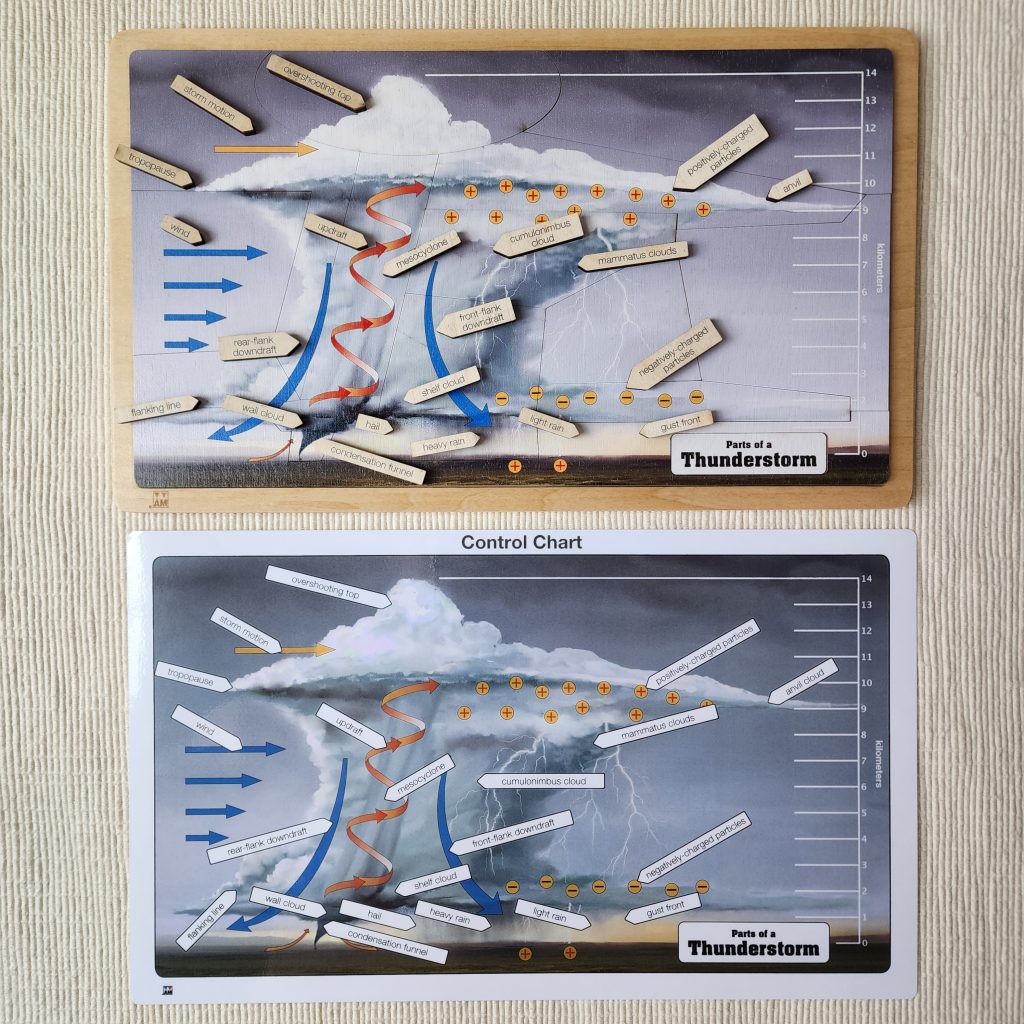 Parts of a Thunderstorm
