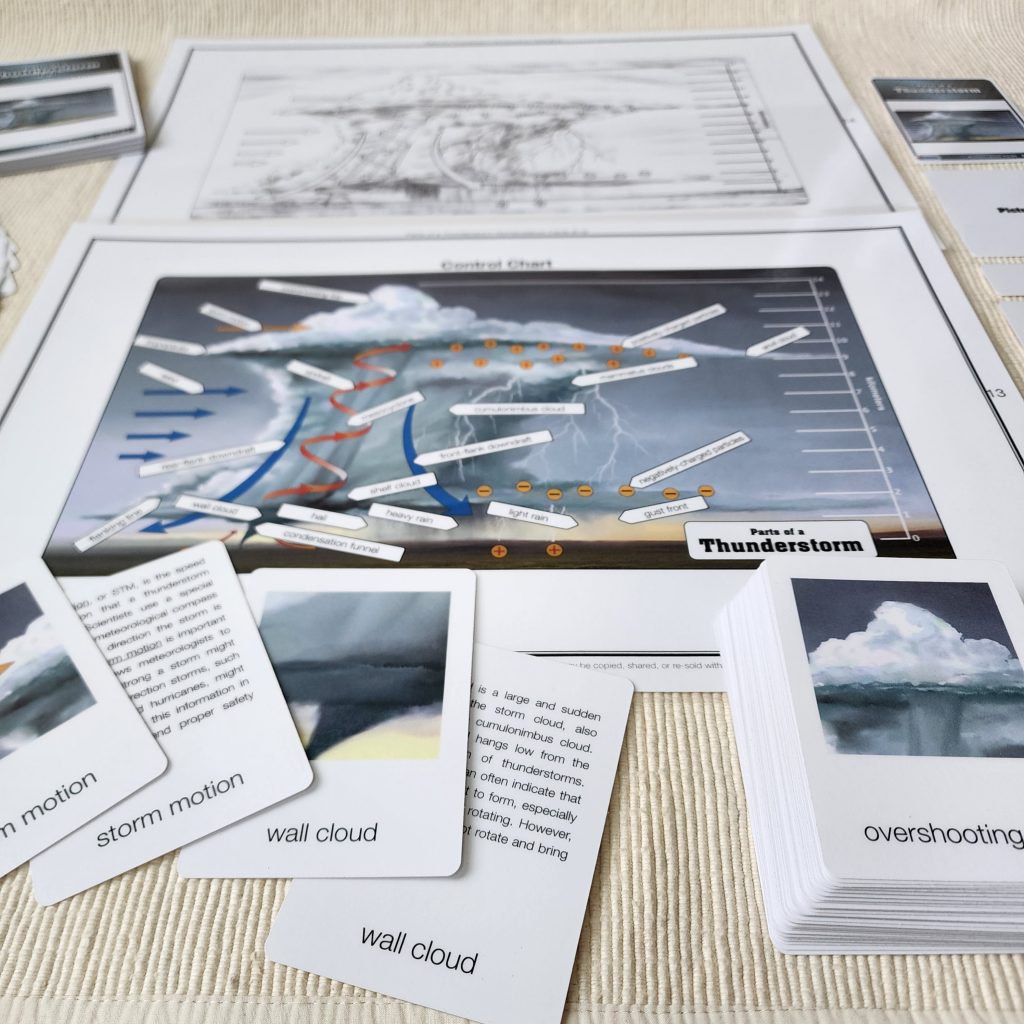 Montessori Puzzles