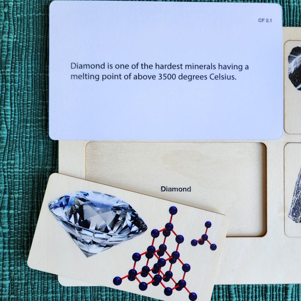 Montessori Puzzles
