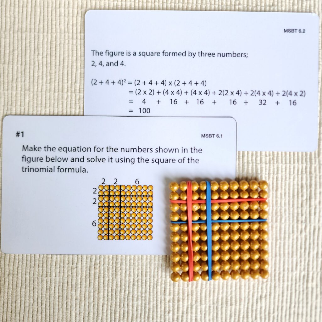 Montessori Task Cards