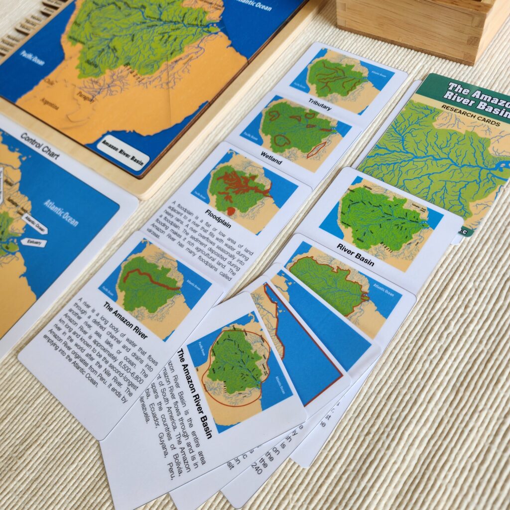 The Amazon River Basin