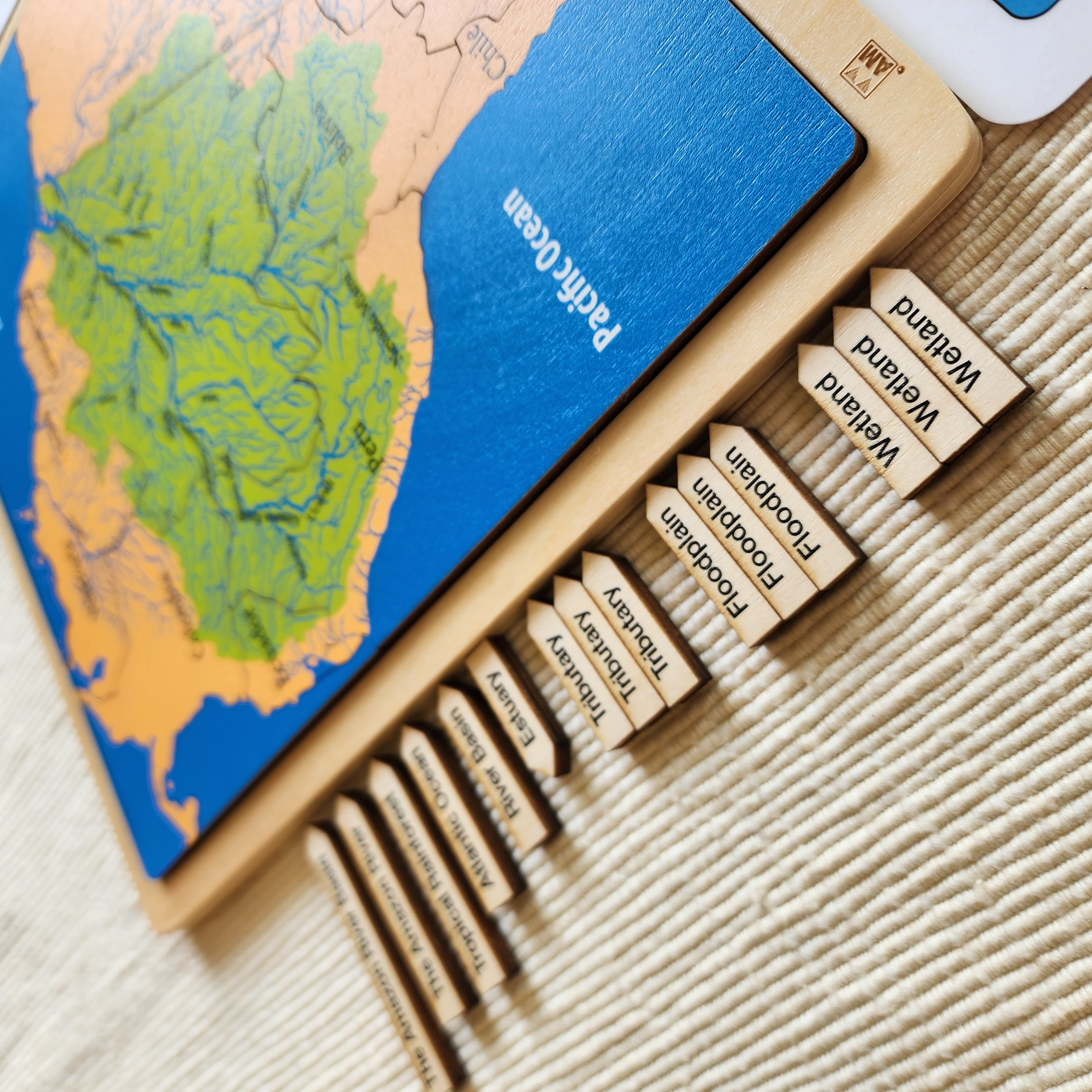 The Amazon River Basin
