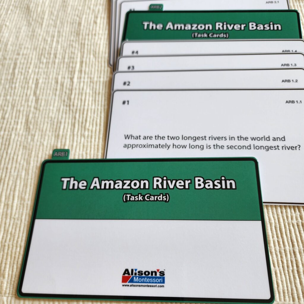 The Amazon River Basin