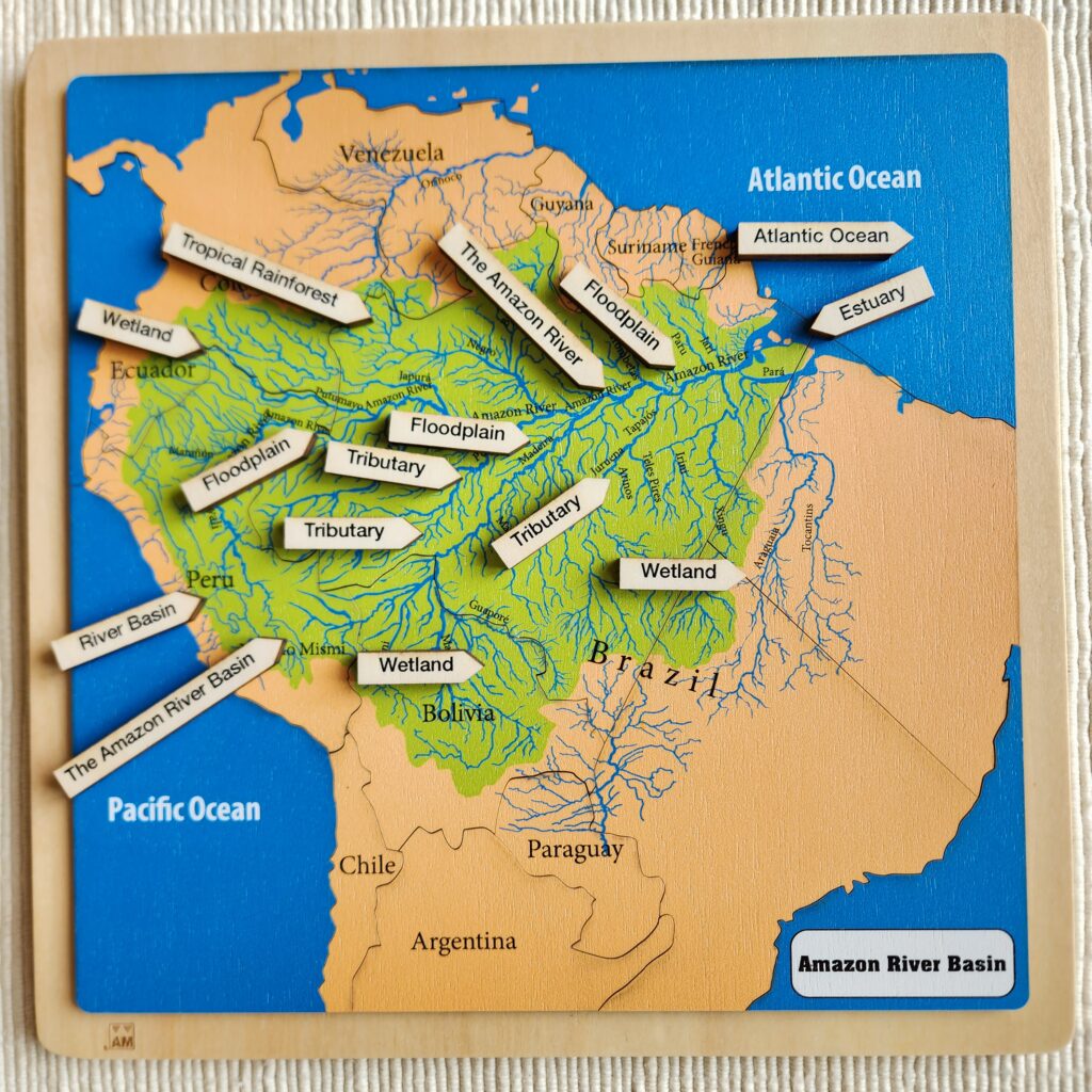 The Amazon River Basin