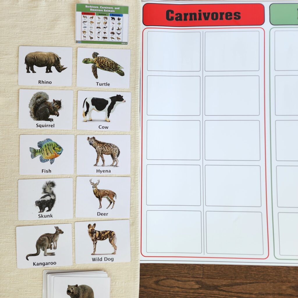 Carnivores Herbivores Omnivores