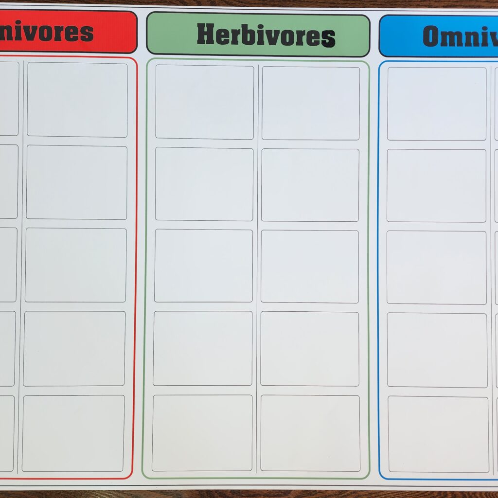 Carnivores Herbivores Omnivores