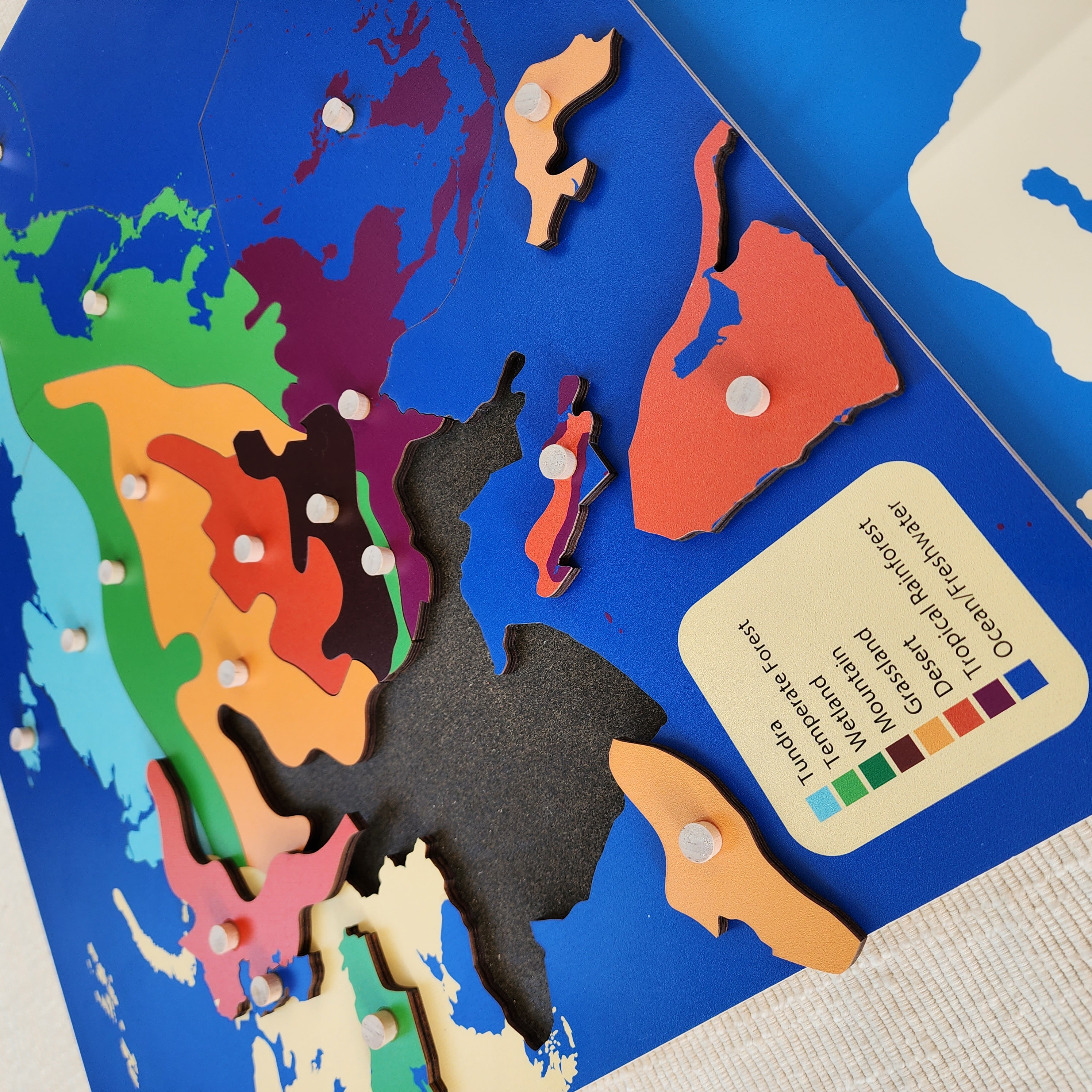 Biome Puzzles, Ages 6-12