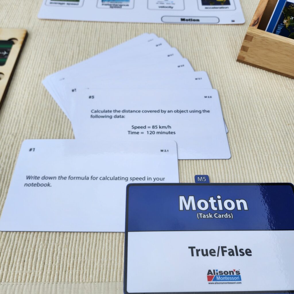 Physics: The Study of Motion