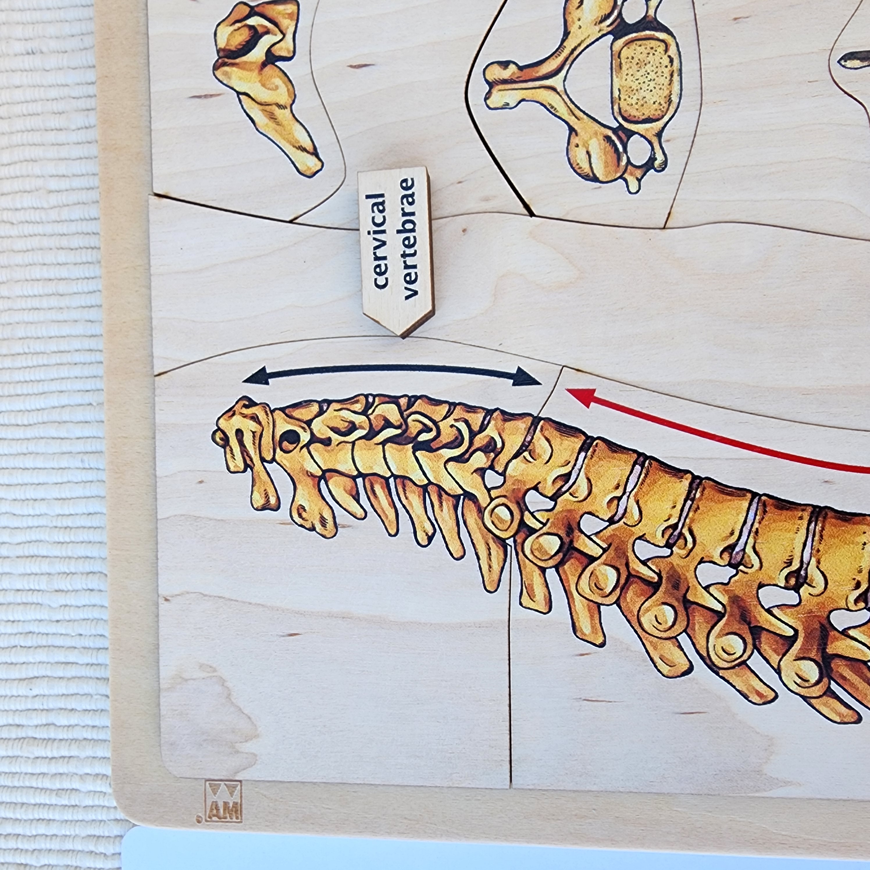 Montessori Curriculum Materials