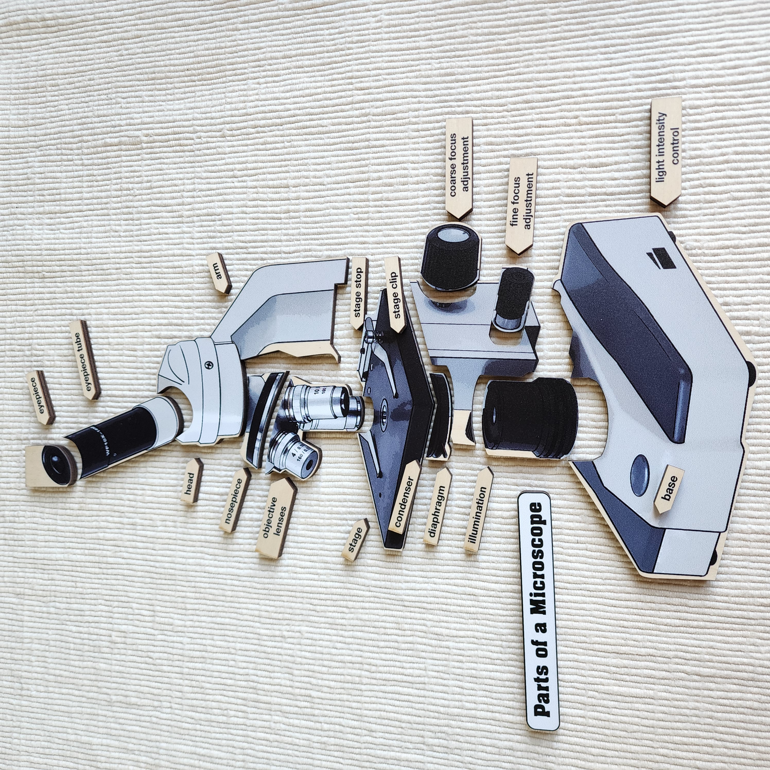 Parts of a Microscope,