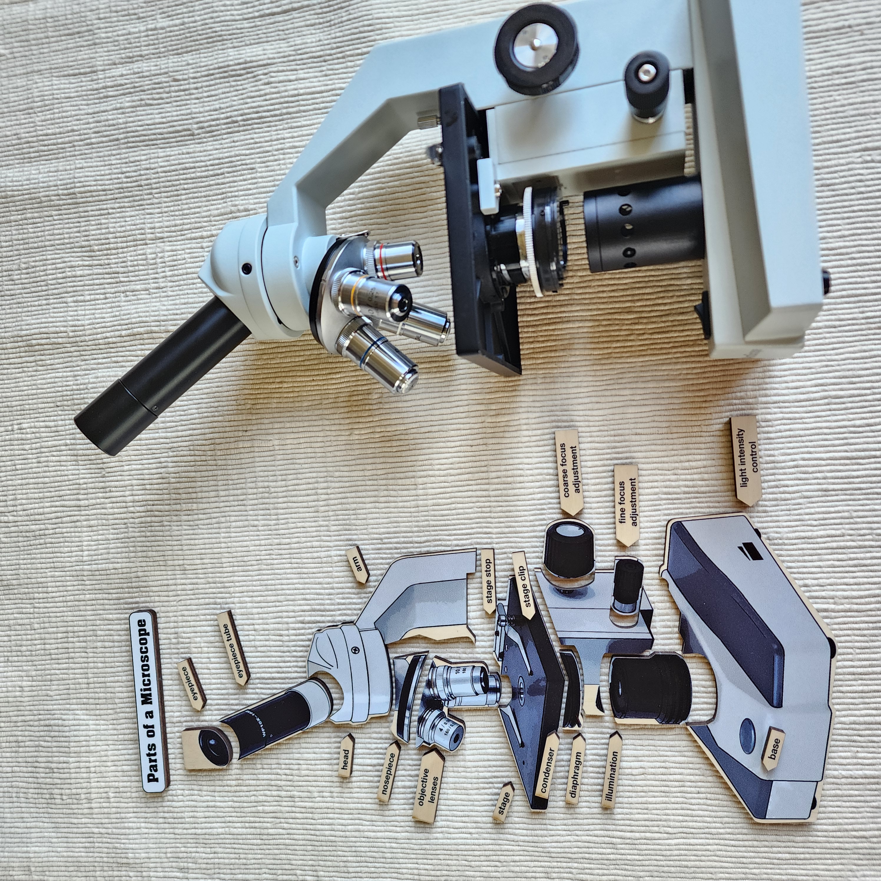 Parts of a Microscope,