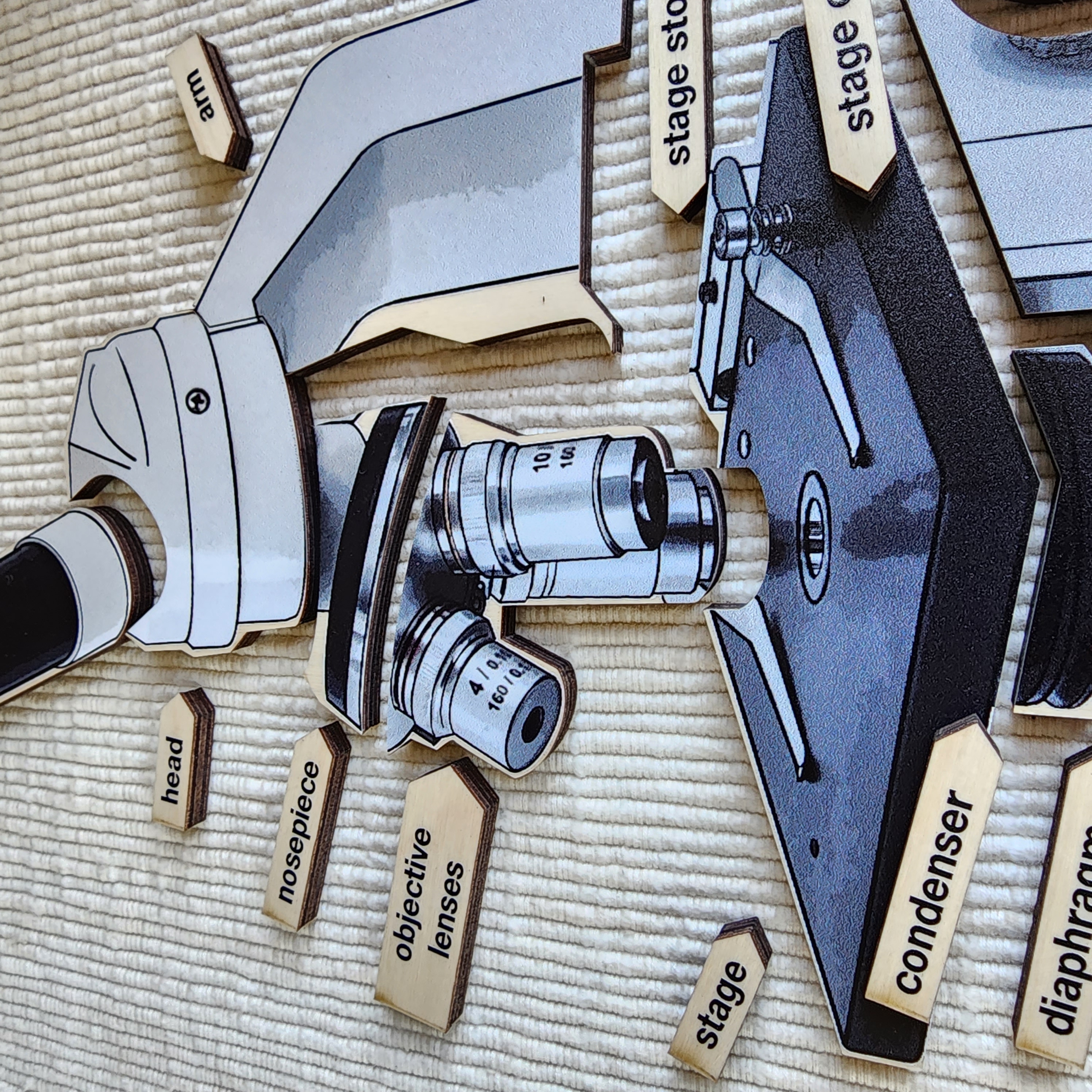Parts of a Microscope,