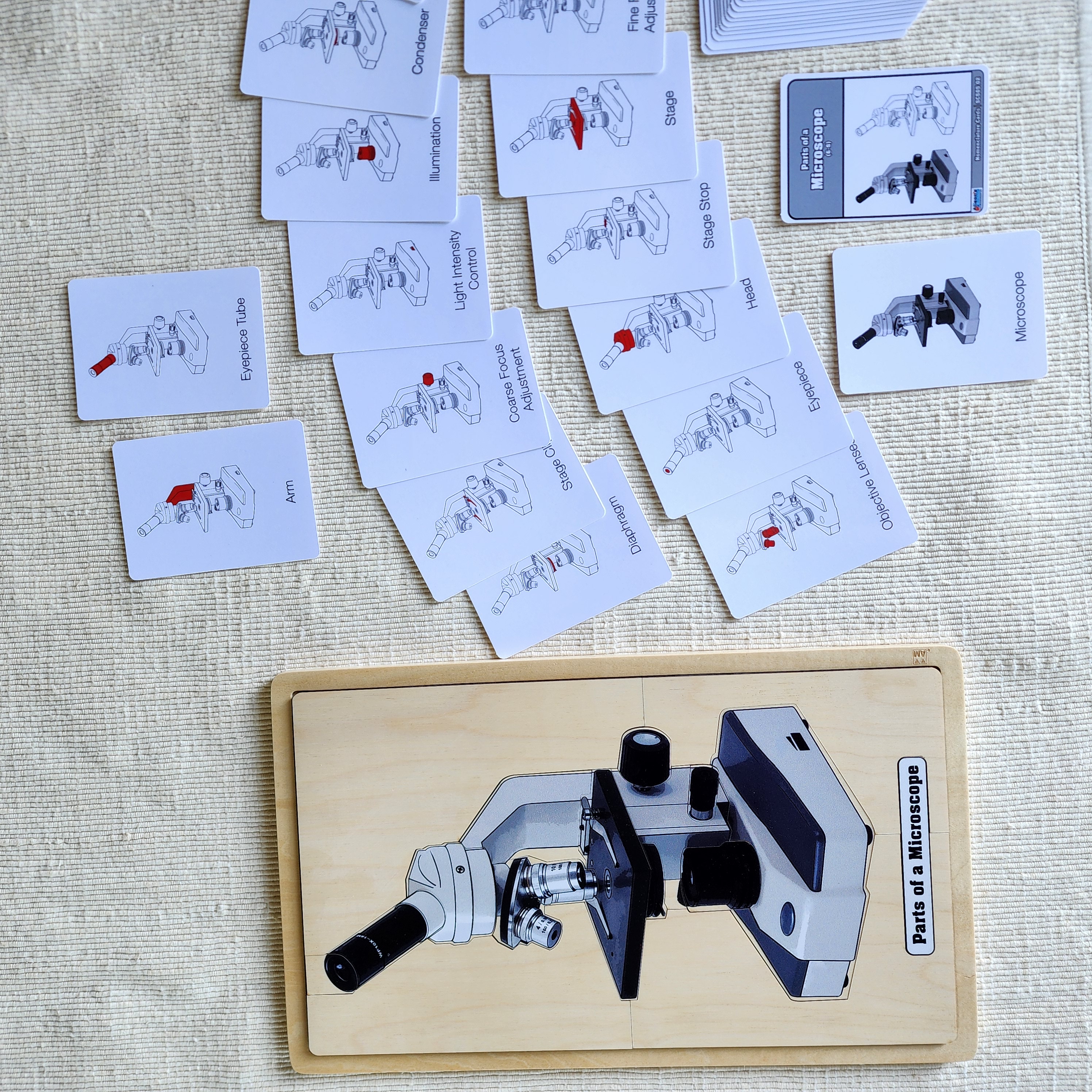 Parts of a Microscope,