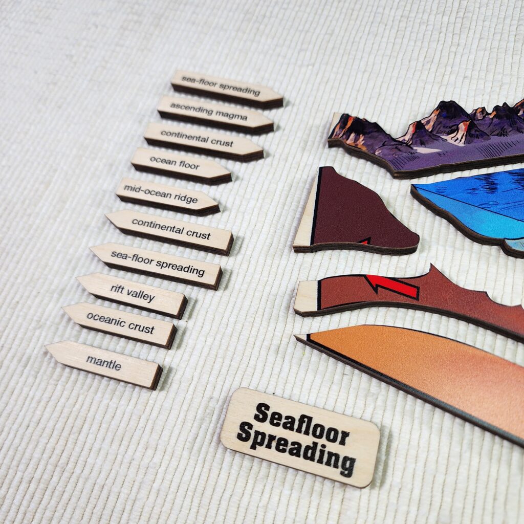 Montessori 3 Part Cards