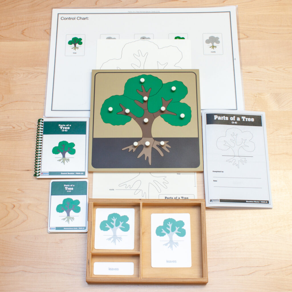Parts of a Tree Puzzle