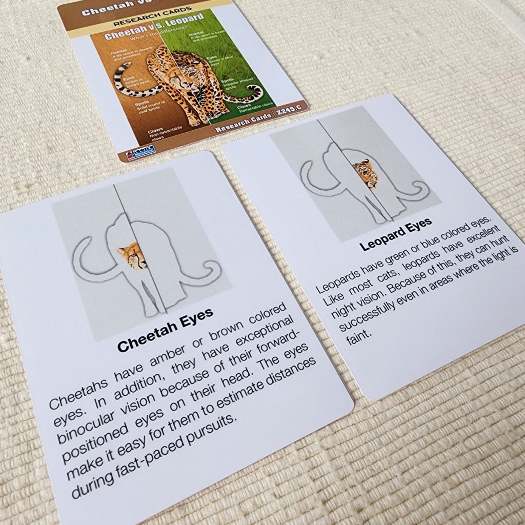 Alison's Montessori