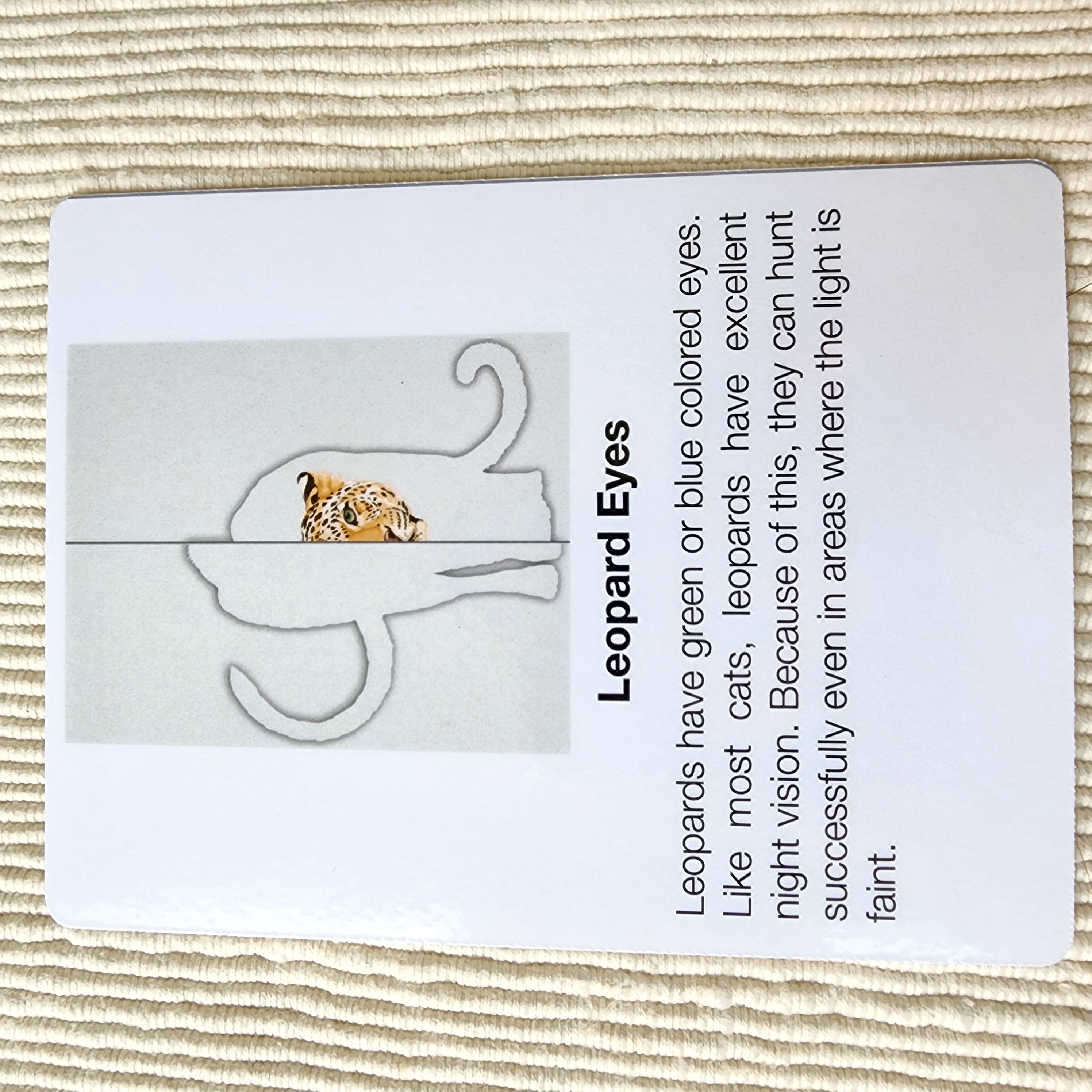 Alison's Montessori