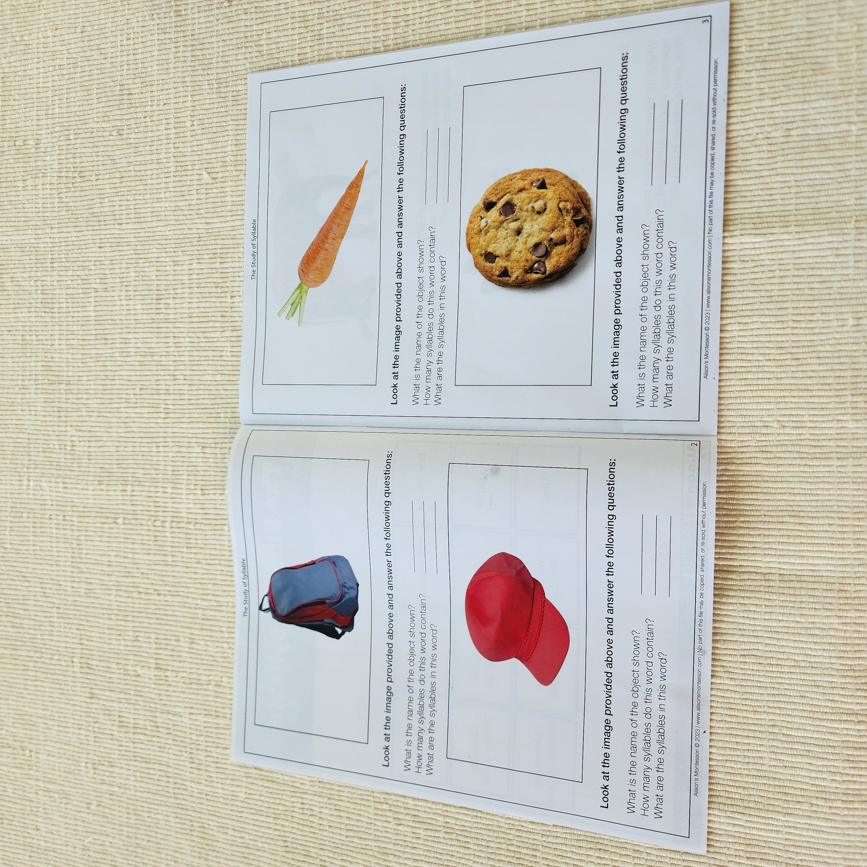 The Study of Syllables