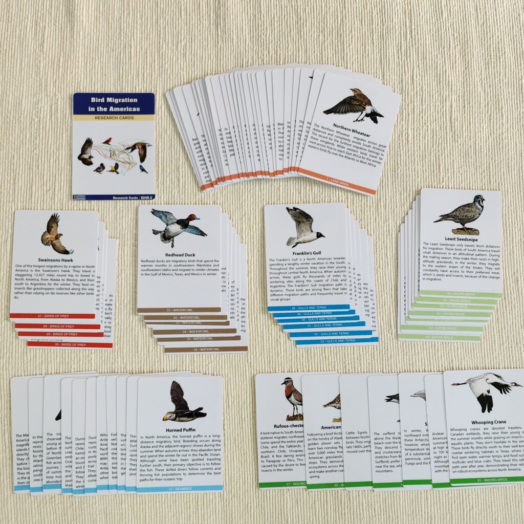 Bird Migration in the Americas