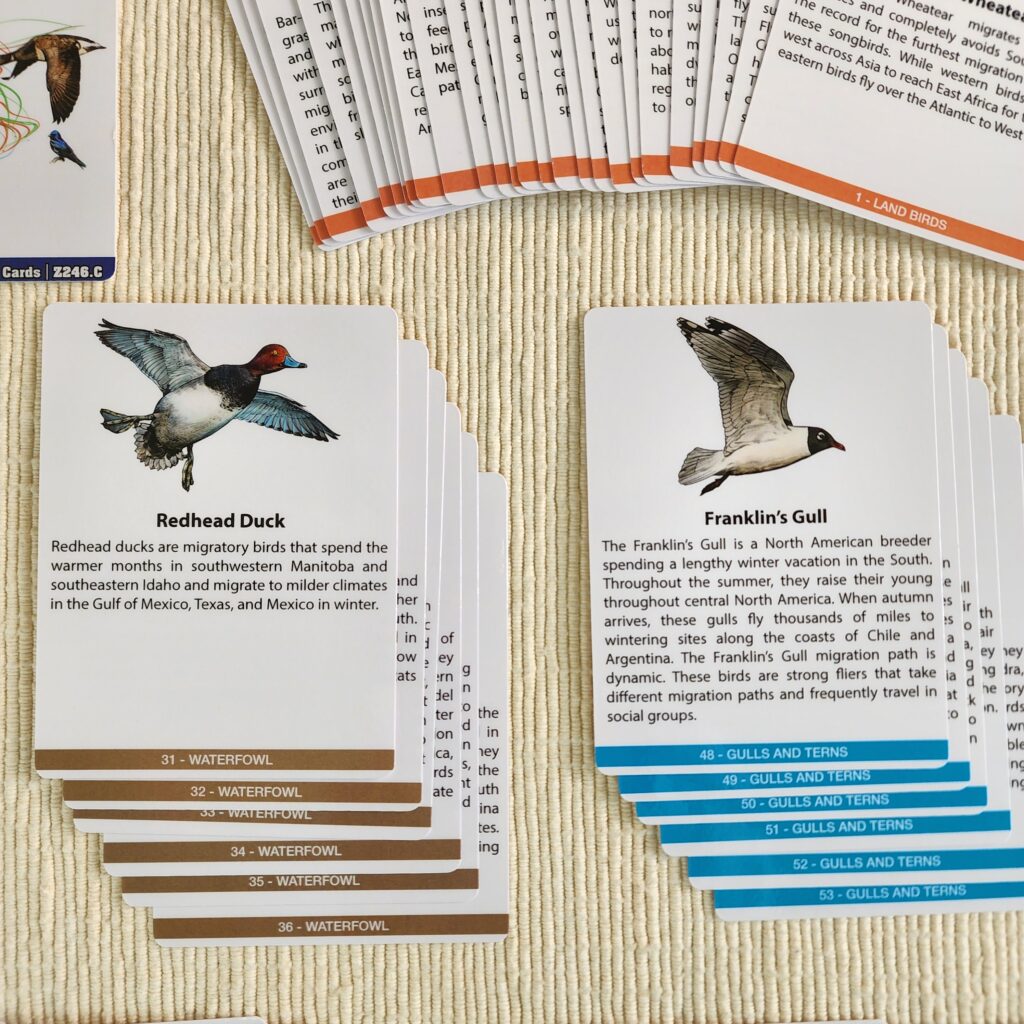 Bird Migration in the Americas