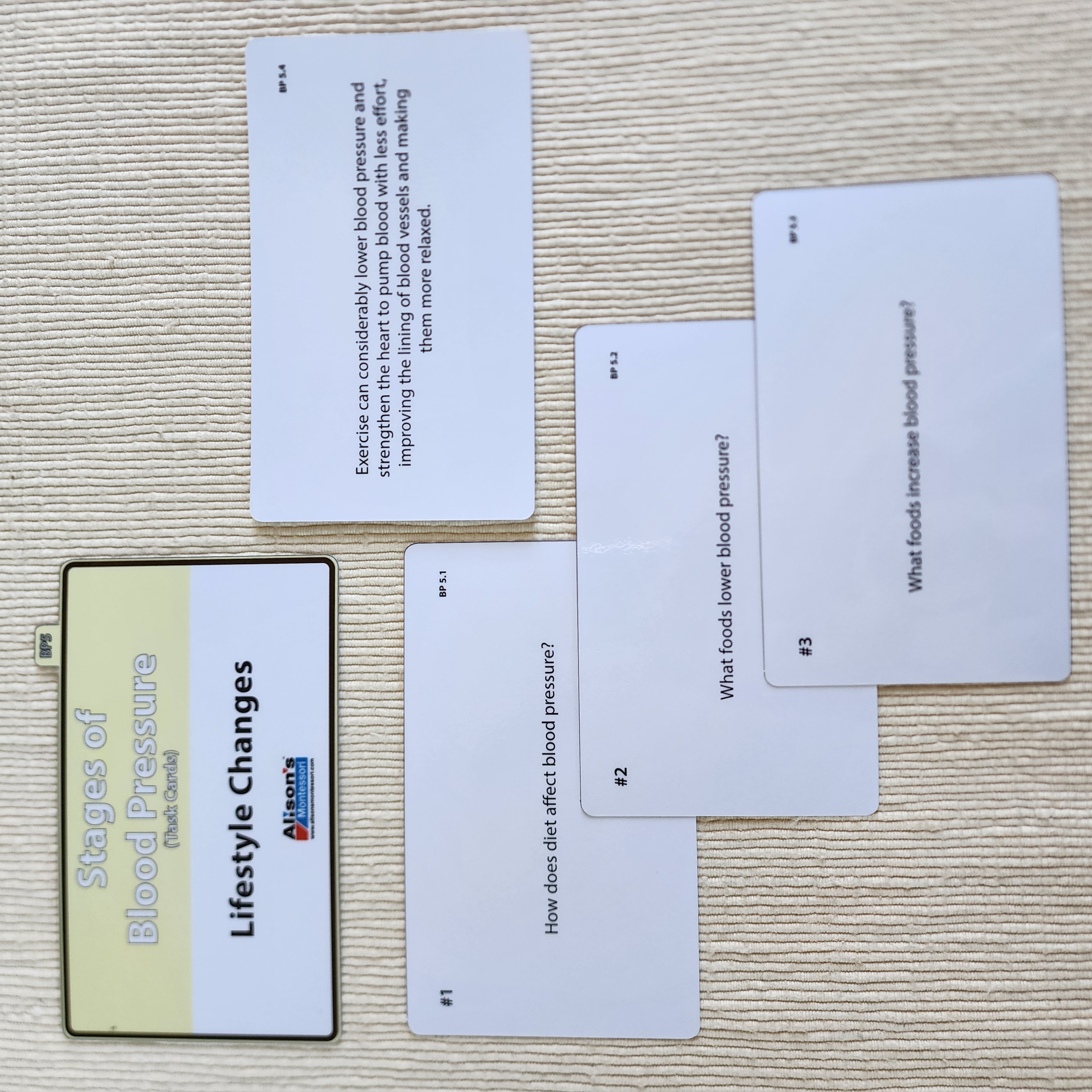 Montessori Printed Materials