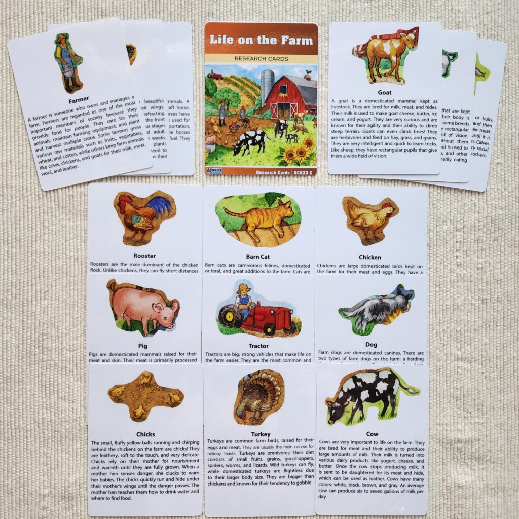 Alison's Montessori