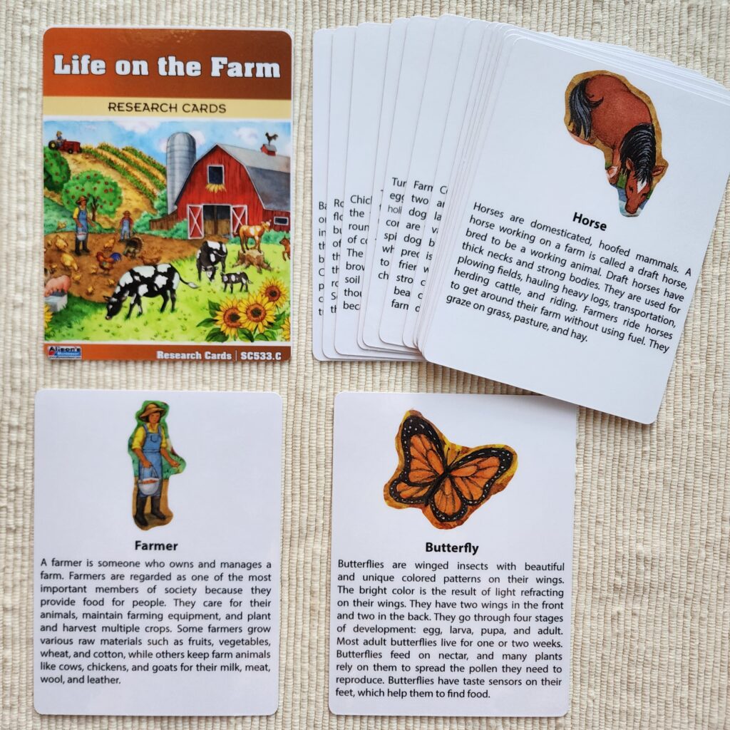 Montessori Wooden Puzzles
