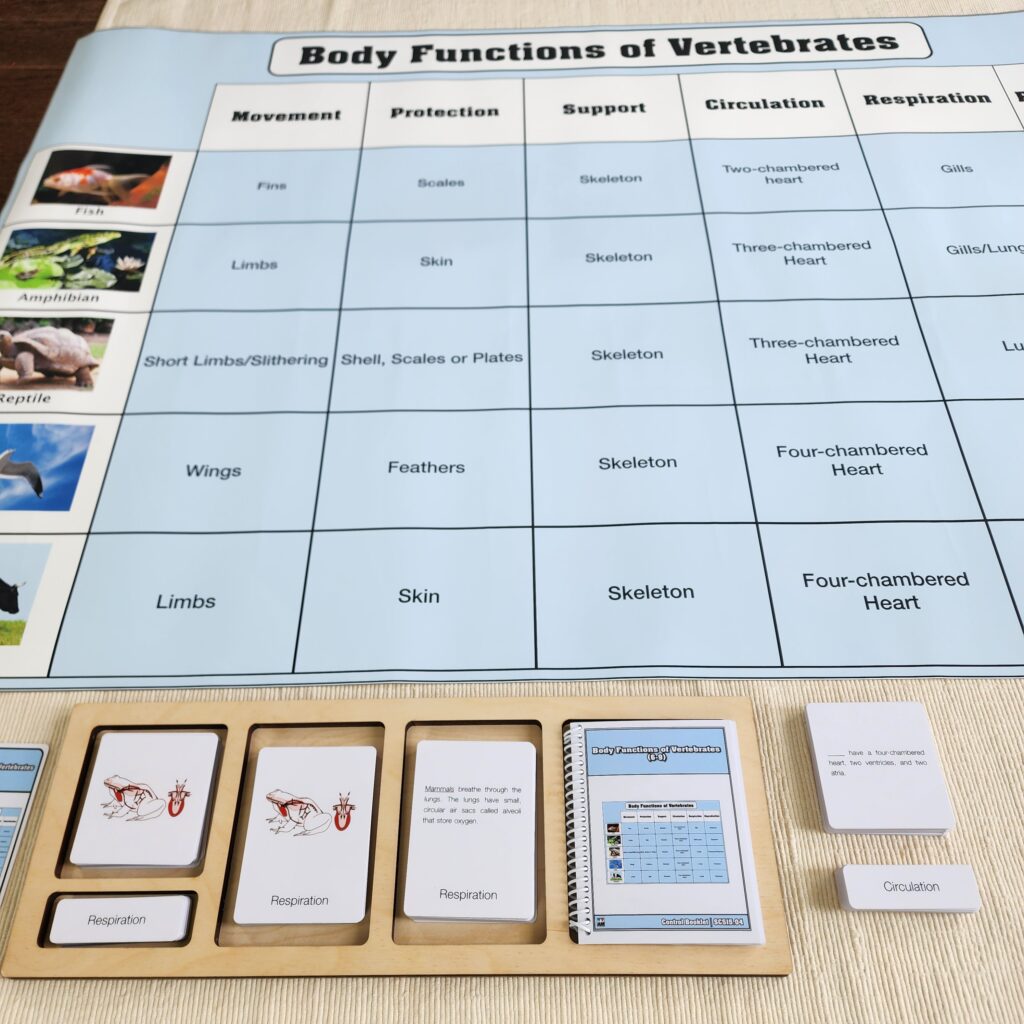 Body Functions of Vertebrates