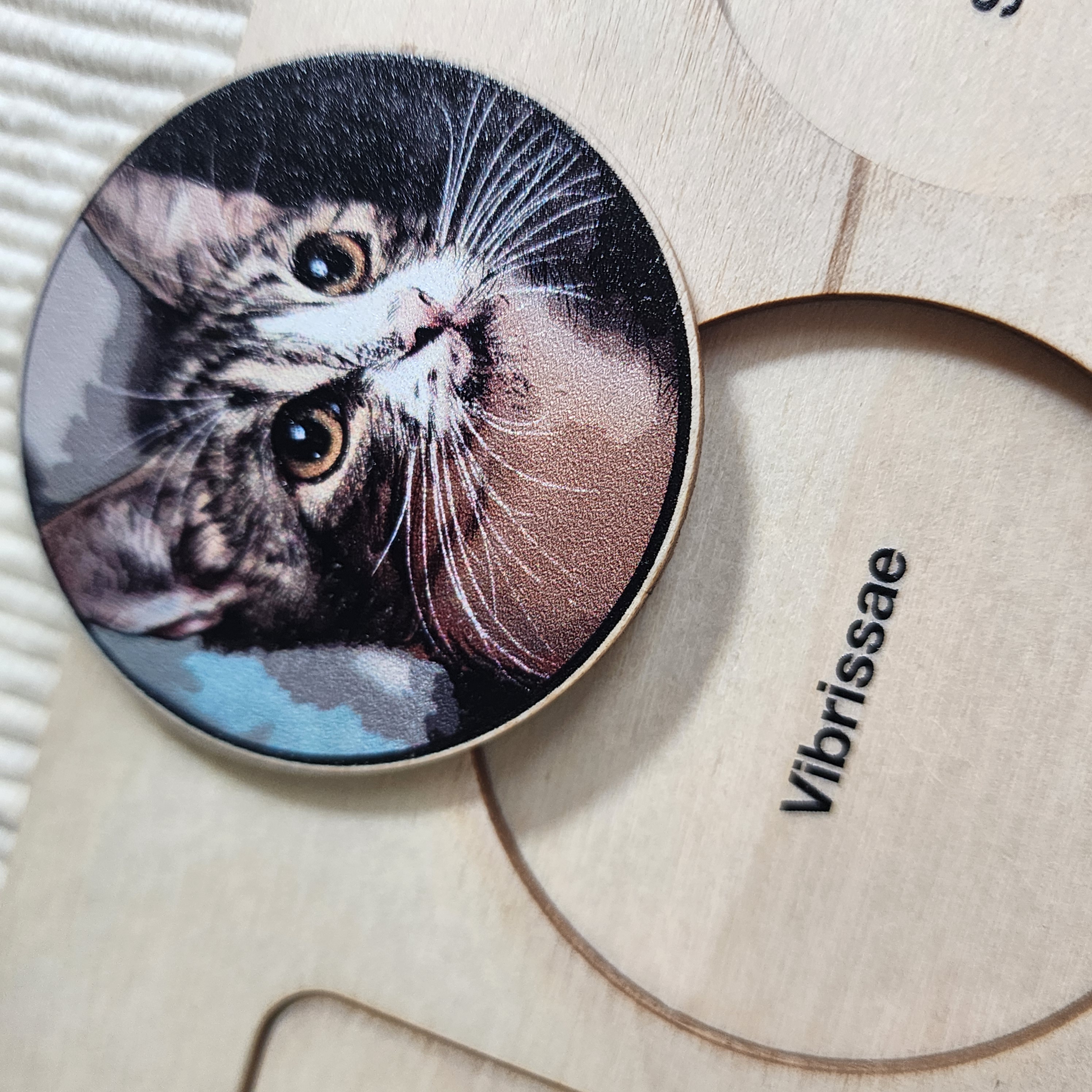 Montessori Puzzles