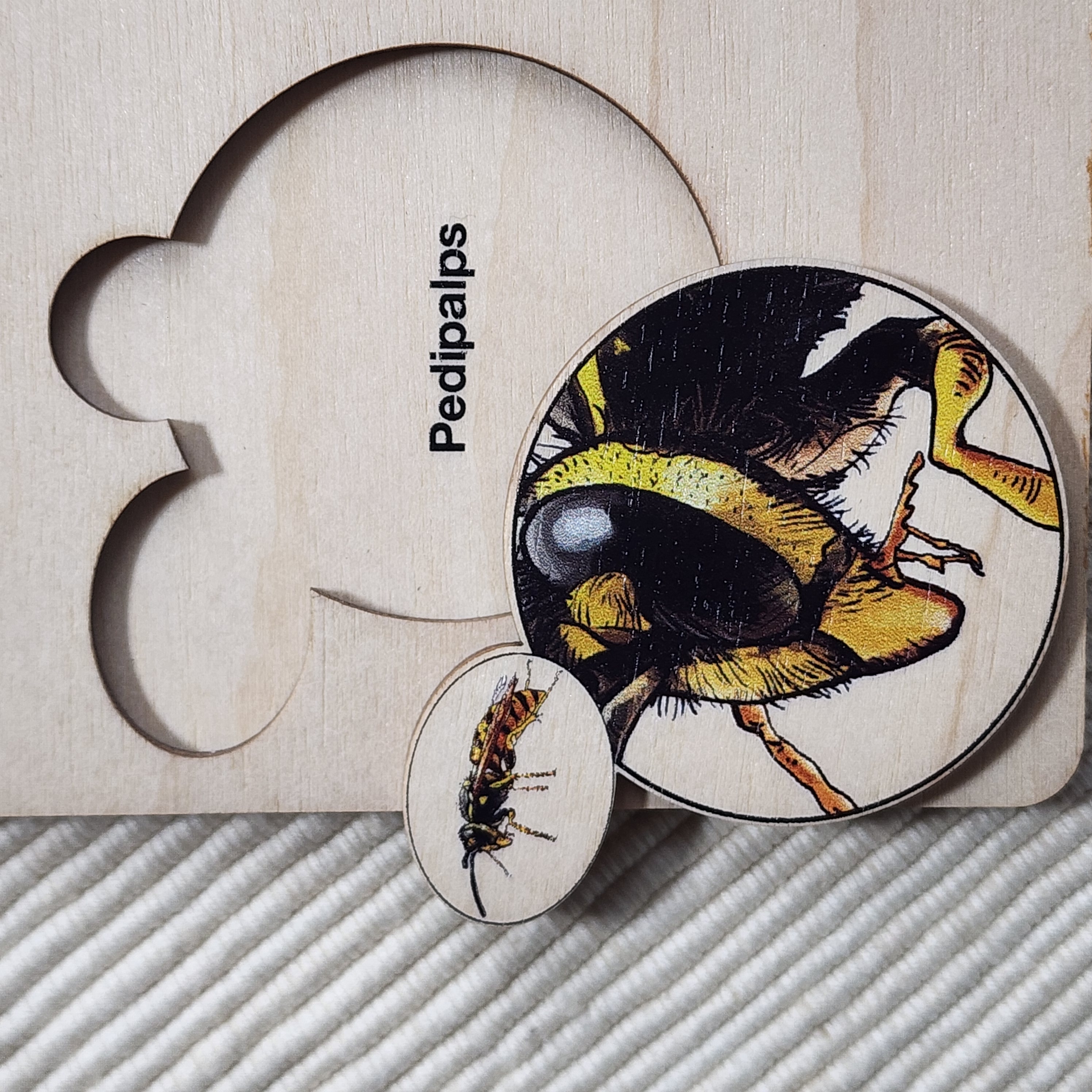 Montessori Wooden Puzzles