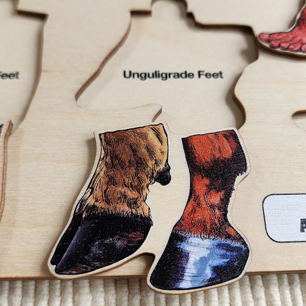 Montessori Wooden Puzzles