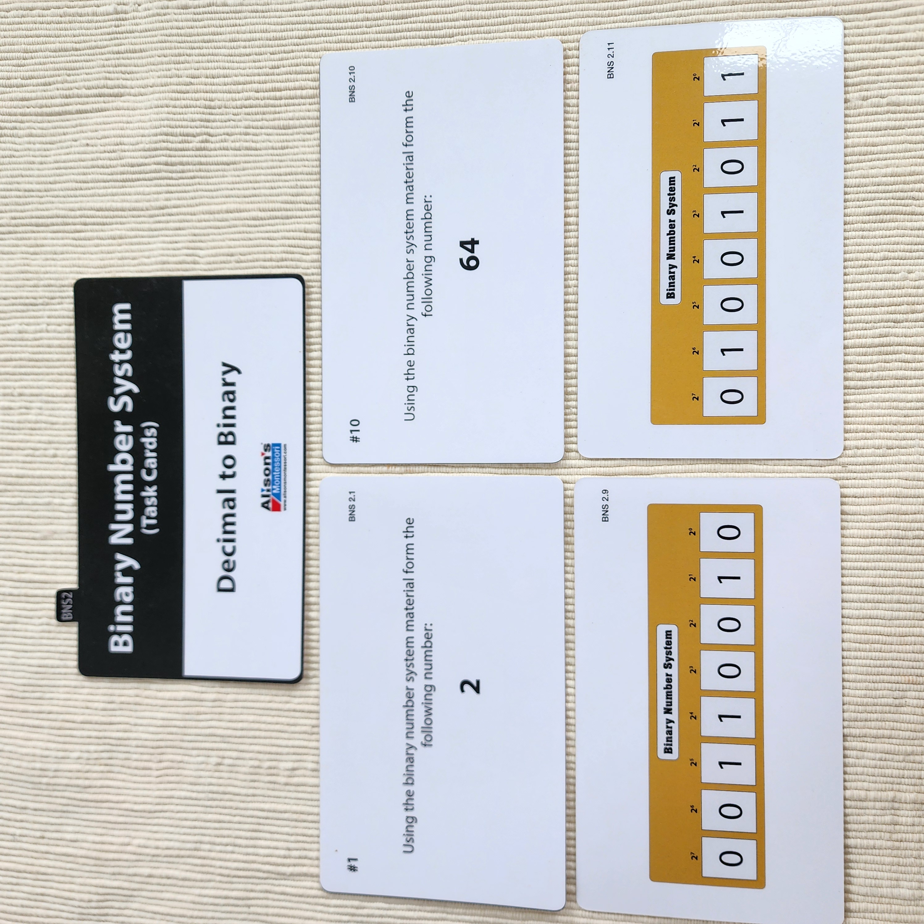 Binary Number System
