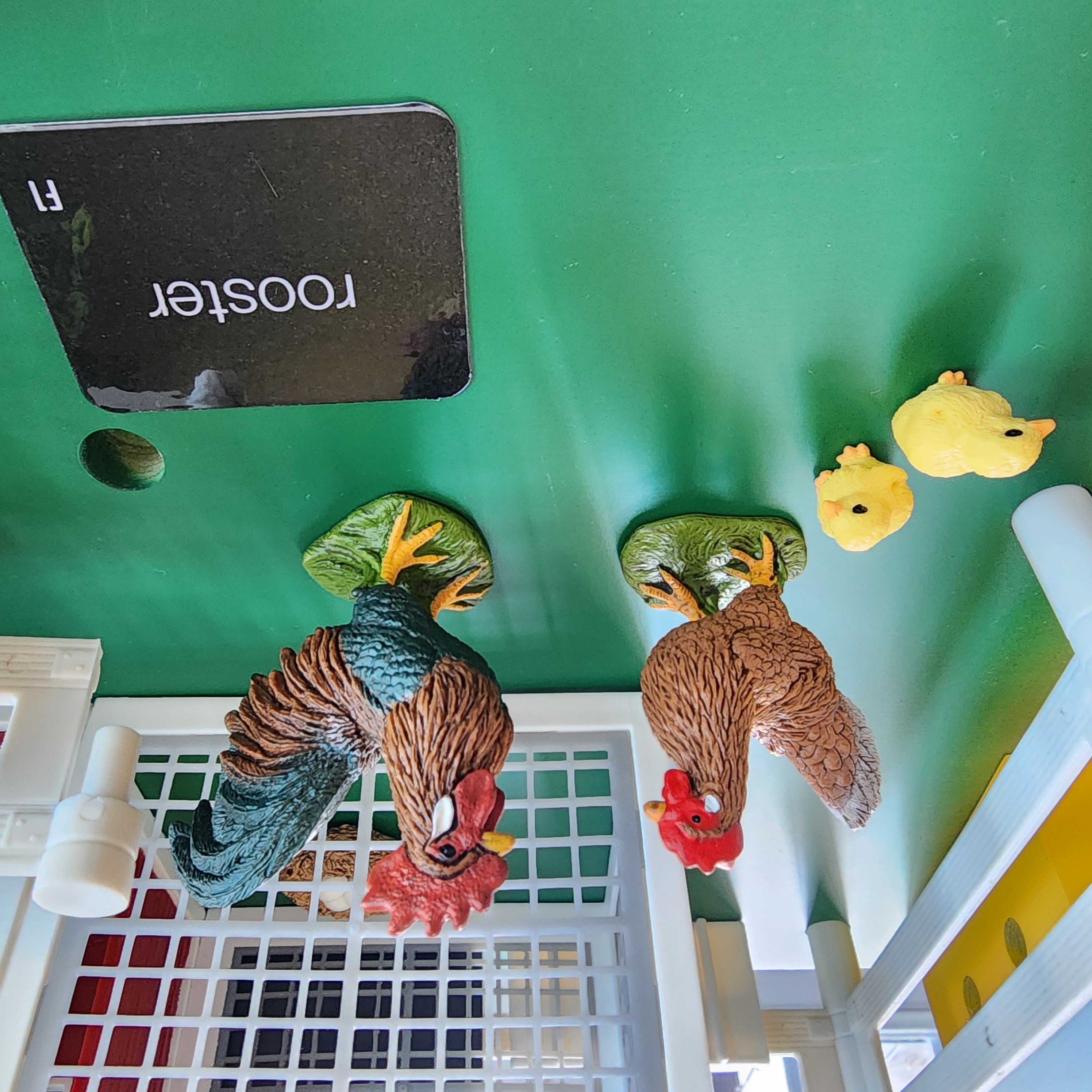The Montessori Farm, Ages 3-6